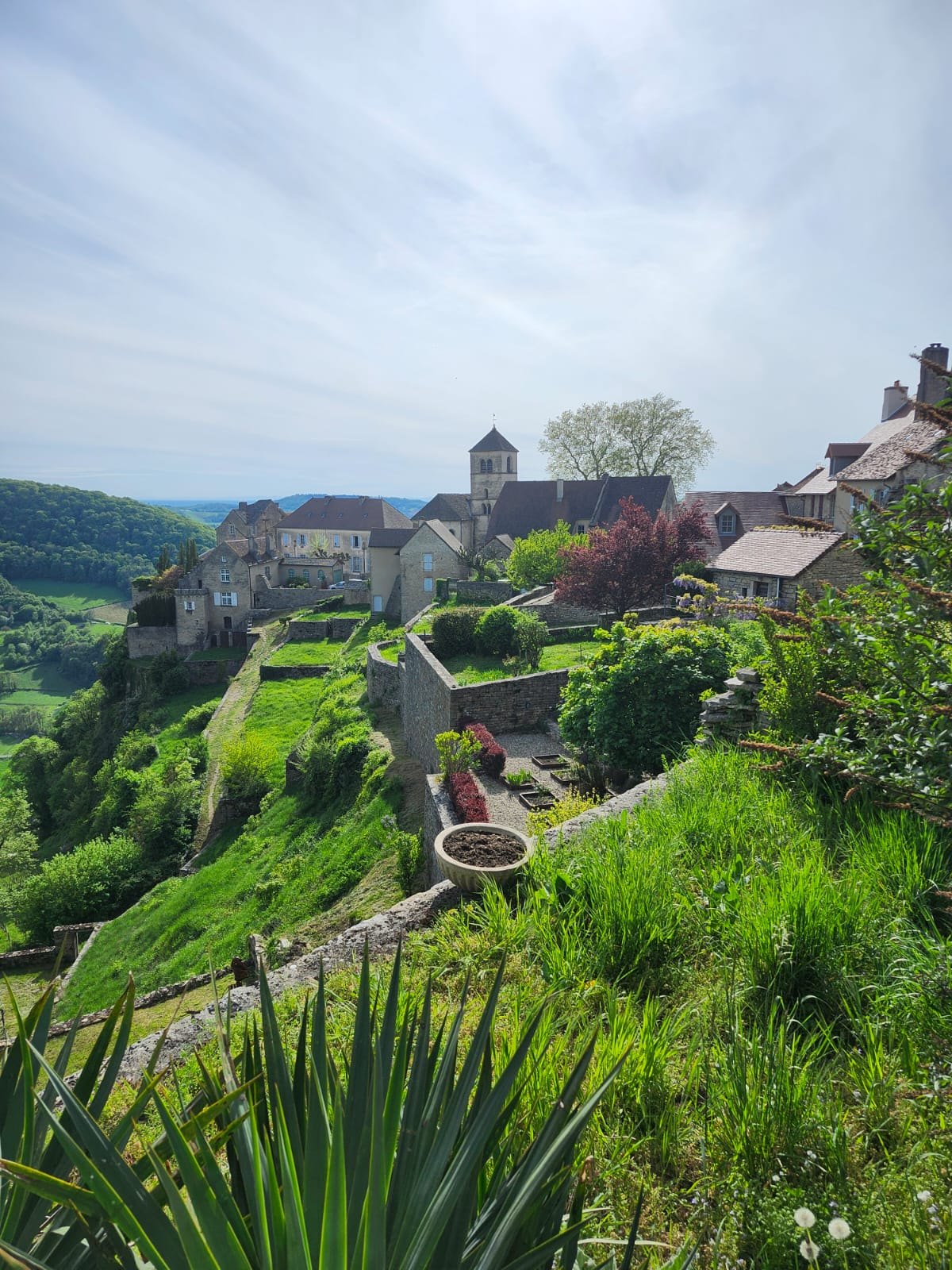 Le village de Château-Chalon et son clocher roman, vus depuis les jardins en terrasses qui dominent la vallée